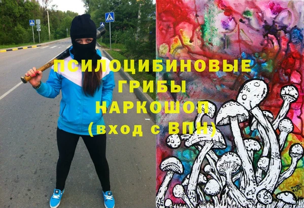 героин Алексин